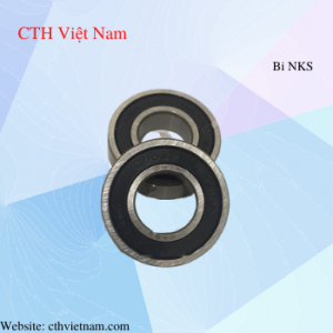 Bi NSK