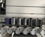 6 củ tỳ dán chỉ